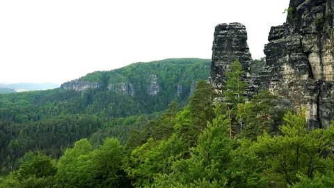 A rock surrounded by a forest 動画素材 72541593
