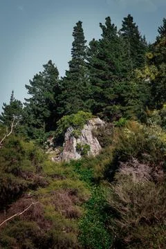 Rock surrounded by greenery Foto stock