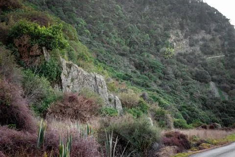 Rock surrounded by greenery Stock Photos