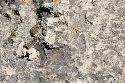 Rock Texture 3 Stock Photos