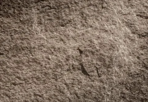 Rock texture background closeup Stock Photos