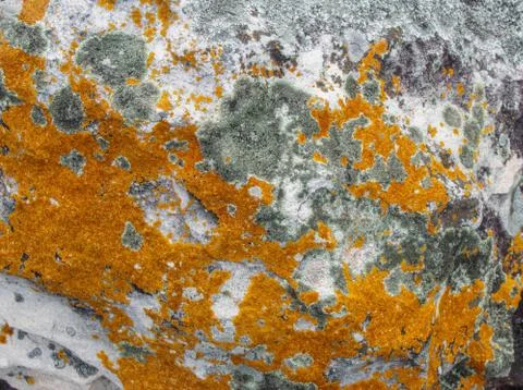 Rock texture background Stock Photos