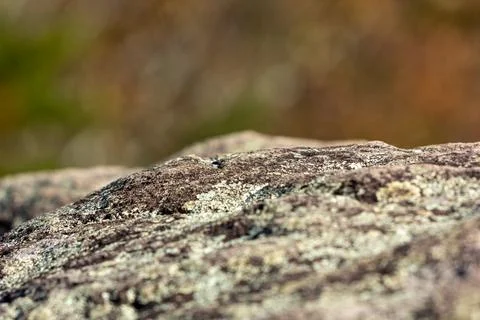 Rock Texture Bokeh Background Mountain Terrain Stock Photos