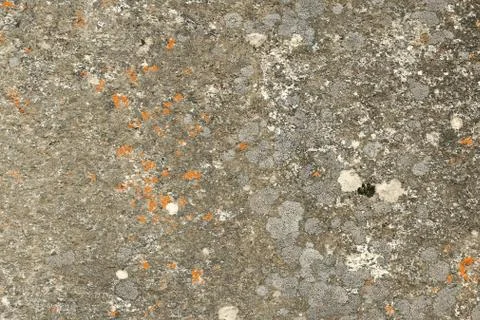 Rock texture closeup Stock Photos