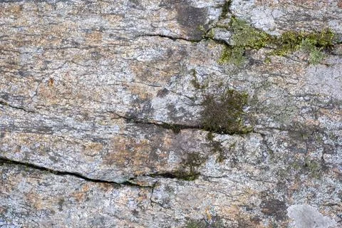 Rock Texture with Moss 写真素材