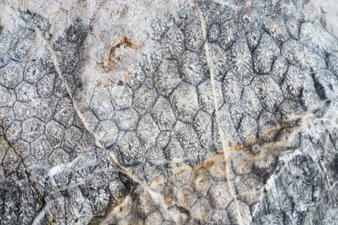 Rock texture Stock Photos