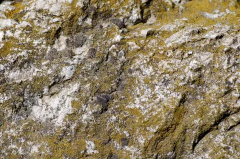 Rock Texture Stock Photos