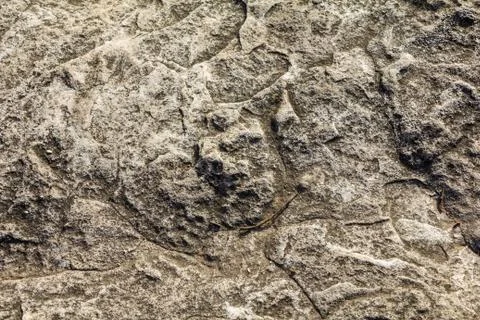 Rock texture Stock Photos