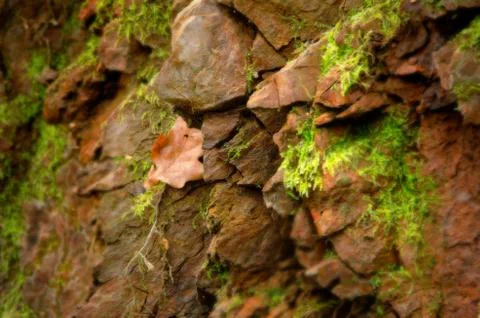 Rock texture Stock Photos