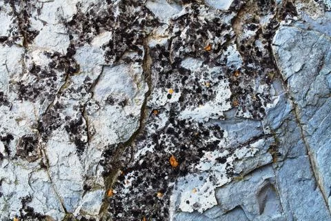 Rock texture Stock Photos