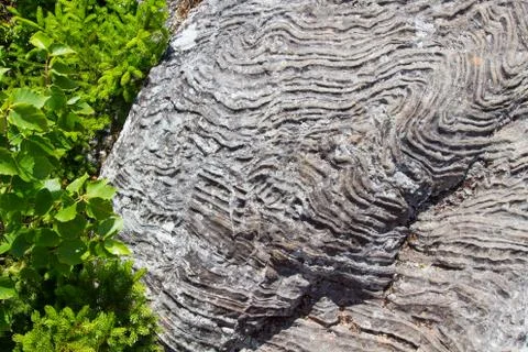 Rock Texture Stock Photos