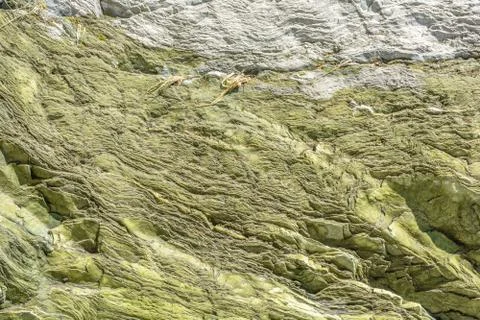 The rock texture Stock Photos