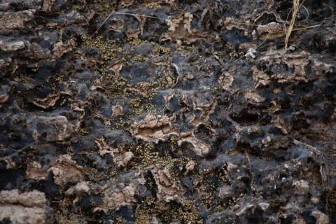 Rock texture Stock Photos