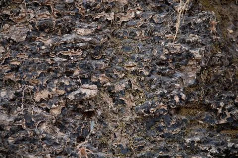 Rock texture Stock Photos