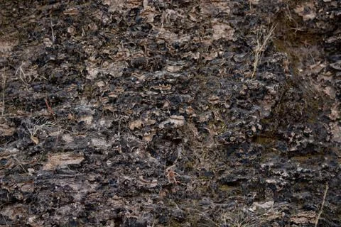 Rock texture Stock Photos