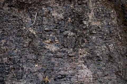 Rock texture Stock Photos