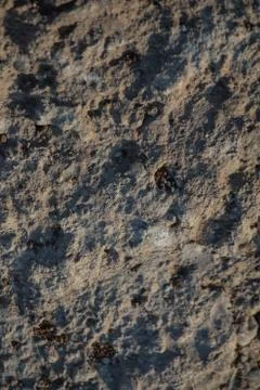 Rock texture Stock Photos