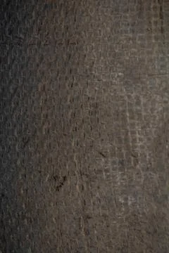 Rock texture Stock Photos