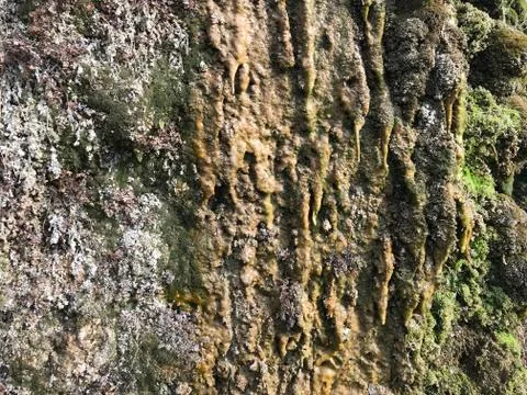 Rock texture Stock Photos