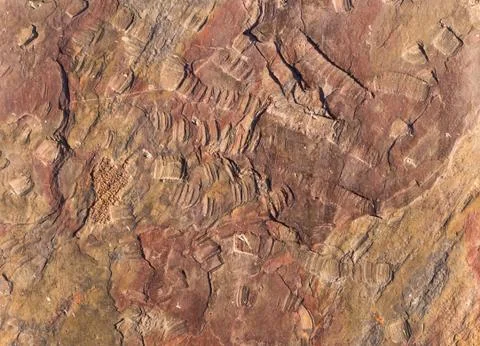 Rock texture rough Stock Photos