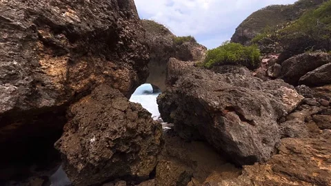 Rock, texture, tree, stone, nature, wood, wall, bark, Stock Footage 237016429