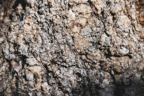 Rock textured close-up with glitter tiny piece on surface. 写真素材