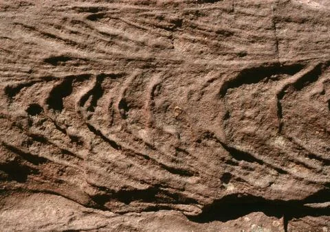Rock, textured surface Stock Photos