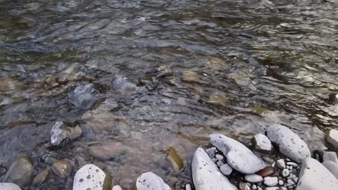 Rock throwing into stream Stock Footage 154767717