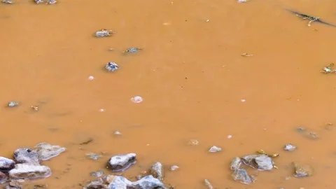 Rock Thrown Into Dirty Puddle Stock Footage 121799520