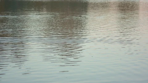 Rock Thrown into a Pond Stock Footage 90189333