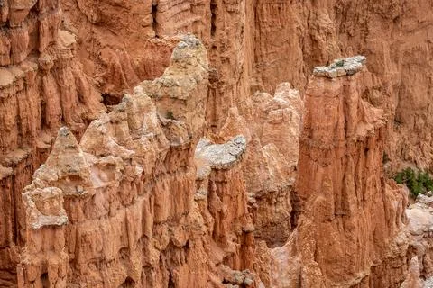 Rock Tops of Hoodoos Slowly Eroding 스톡 사진