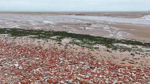 Rock tower on Blitz beach Stock Footage 331818042