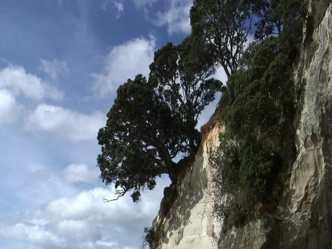 Rock with tree and fast moving clouds Stock Footage 93338813