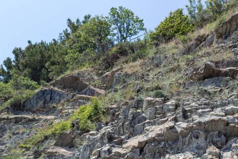 Rock with trees on top Stock Photos