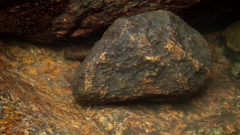 Rock Under Clear Flowing Jungle Stream Water 스톡 동영상 340328576