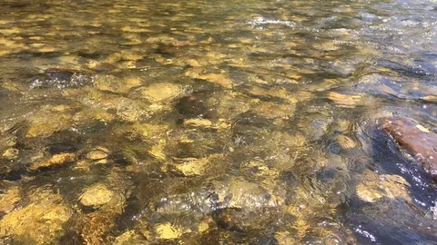 Rock under clear water Stock Footage 125804496