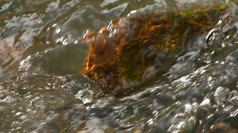 Rock under water Stock Footage 113761