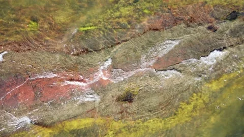 Rock under Water Stock Footage 200808077