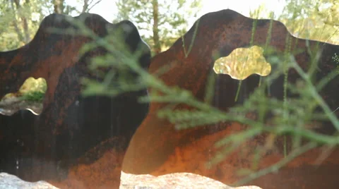 Rock &amp; Vegetation Video stock 40815356