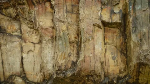 Rock wall with layered sandstone textures and mineral patterns. Vertical cliff Stock Footage 339280999