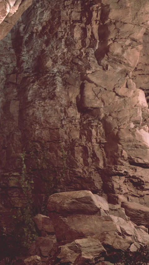 Rock wall with natural textures and plants in a rocky area during daylight Stock Footage 340876899