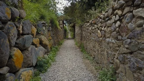 Rock wall path with vegetation Cusco, Peru - South America Video stock 119281690