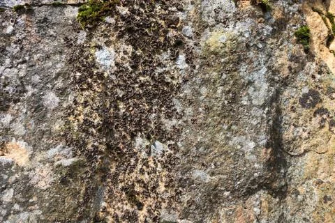 Rock wall Stock Photos