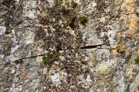 Rock wall Stock Photos