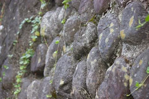 Rock Wall  Stock Photos