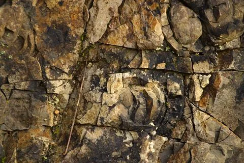 Rock Wall Stock Photos