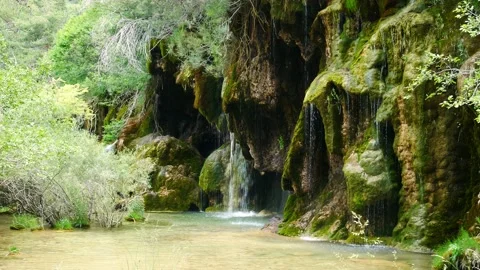 Rock wall with several small waterfalls on a lush vegetation Video stock 137090182