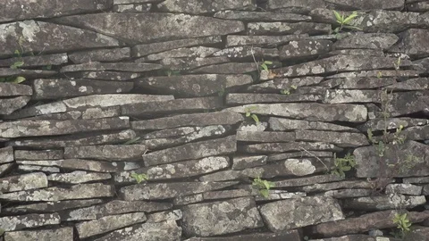 Rock Wall, Slow Pan Right, Easter Island 스톡 동영상 77167773