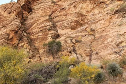 Rock Wall Texture on Mount Lemmon Foto stock