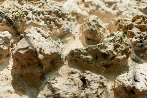 Rock wall texture. Stone wall background for design or illustration Stock Photos